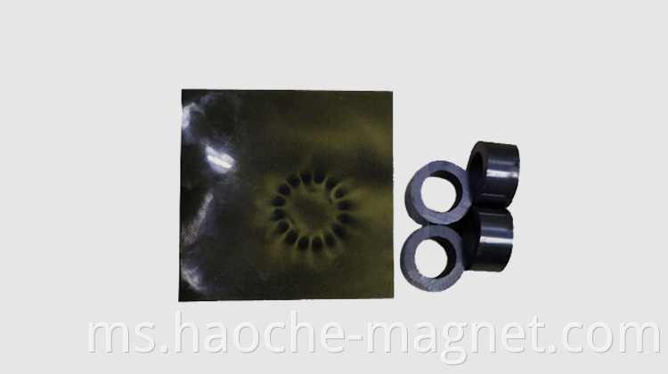 Speed ​​Motor Magnet Cincin 16 Pole Magnetized Magnet Magnet Magnet Tetap